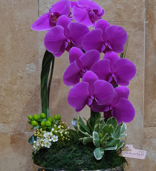 Purple Orchid Elegance-TheFlowersHope