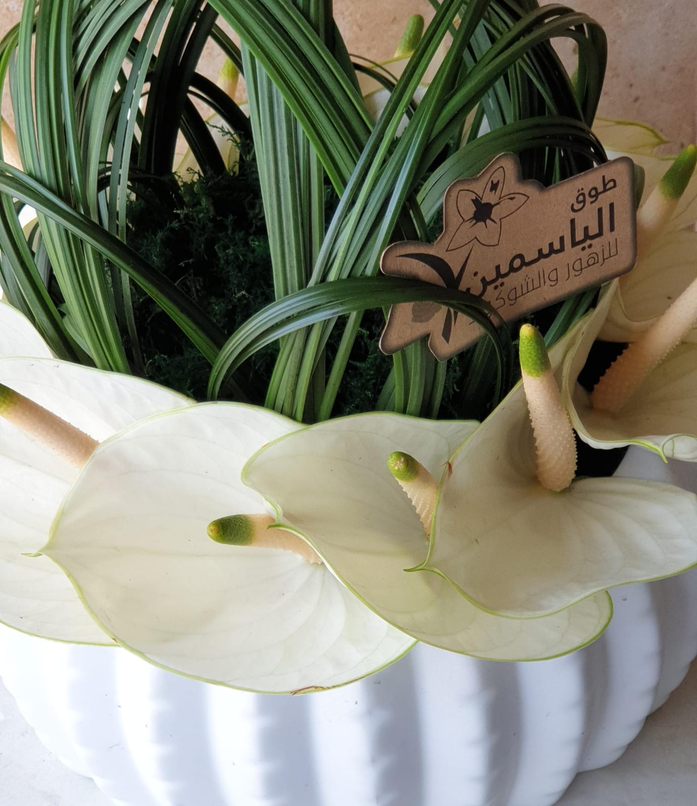 anthuriums flower vase - TheFlowersHope
