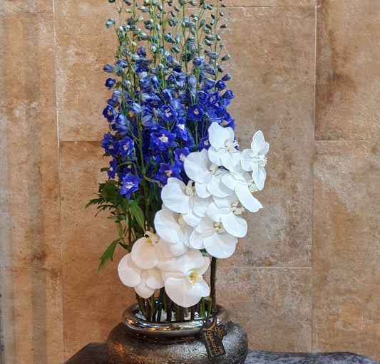 Romance of fresh Orchid and Danfilium-TheFlowersHope