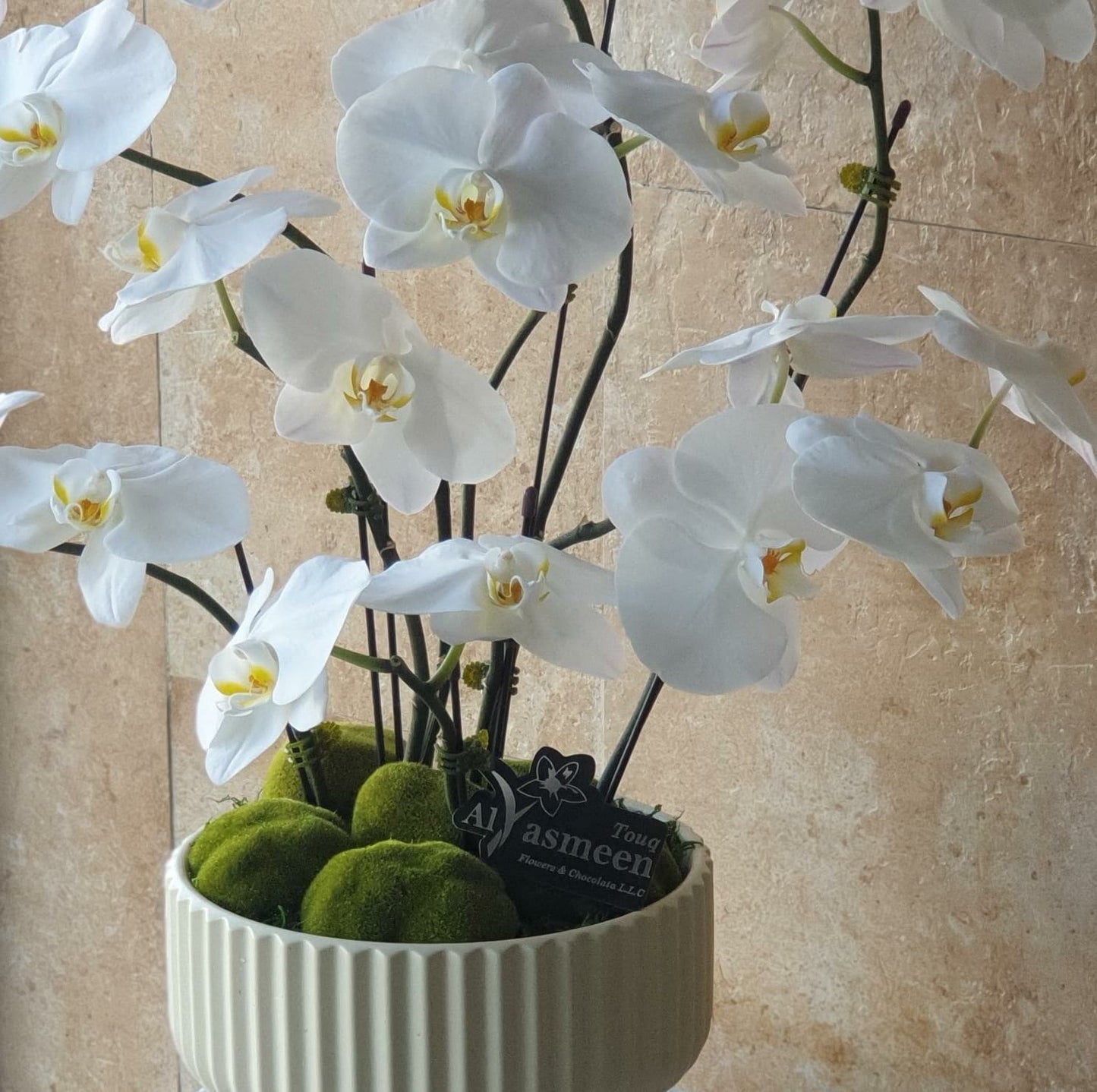 White fresh Orchid Tree in a Luxurious Vase-TheFlowersHope