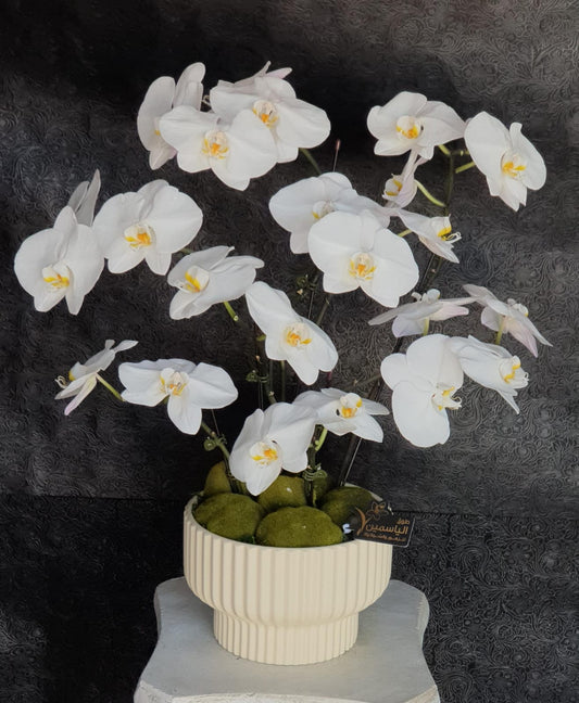 White fresh Orchid Tree in a Luxurious Vase-TheFlowersHope