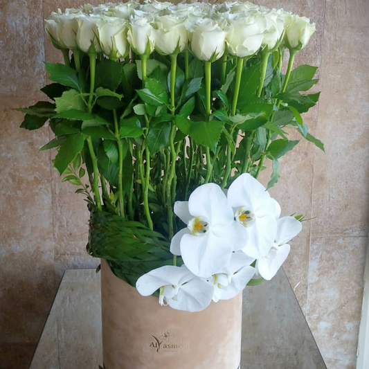 Orchid Rose Box 51 Blooms of Elegance-TheFlowersHope