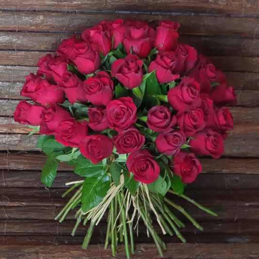Pulse of 51-TheFlowersHope