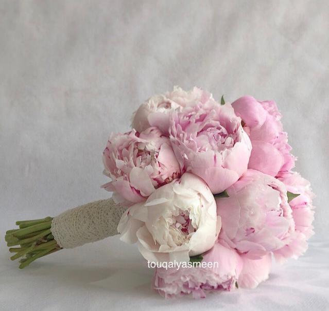Peony Grace-TheFlowersHope