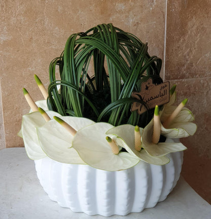 anthuriums flower vase - TheFlowersHope