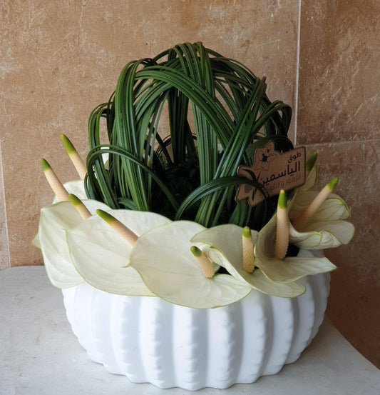 anthuriums flower vase - TheFlowersHope
