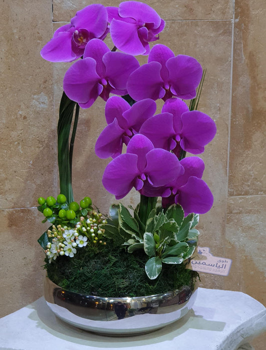 Purple Orchid Elegance-TheFlowersHope