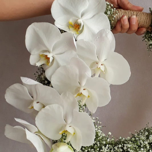 Pure Elegance-TheFlowersHope